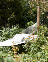 Hammock in the overgrown garden