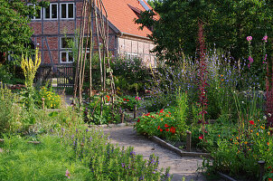 A farm garden in summer with flowering beds and a bean tepee