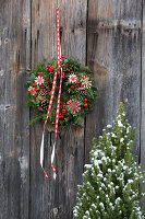 Christmas wreath made of fir greenery, cones and red berries in front of a rustic wooden wall