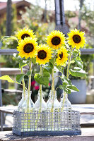 Hanger bottles with sunflowers in a bottle basket