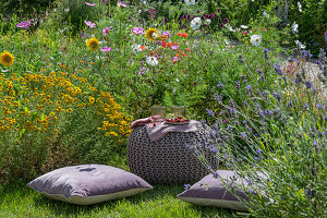 Seating cushions in front of flower beds with Moroccan toadflax (Linaria maroccana), lavender, phlox, dyer's chamomile (Anthemis tinctoria) and cosmea