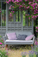 Rambler climbing roses (Rosa) at garden shed with garden sitting area