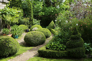 Formal garden with topiary trees