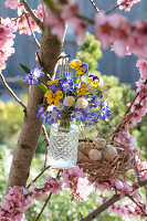 Bouquet with horned violets (Viola cornuta) hanging in a flowering peach tree (Prunus persica)