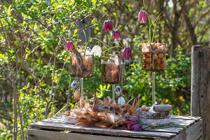 Vasen mit Steckzwiebeln gefüllt, Schachbrettblumen (Fritillaria), Eier und Federn als Osterdeko auf Holztisch im Garten