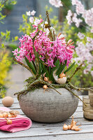 Pink hyacinths (Hyacinthus) in vase with twigs, eggshells and bulbs