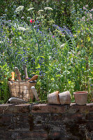 Gartenutensilien auf Mauer vor sommerlichem Gartenbeet
