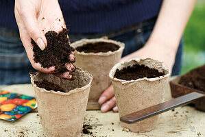 Filling eco friendly pots with seed compost ready to plant pepper seeds