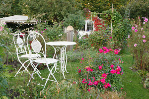 Sitzplatz in einem naturnahen Kleingarten mit Rosen und Cosmea