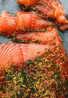 Graved Lachs (Close Up)