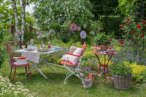 Set table for summer party in garden