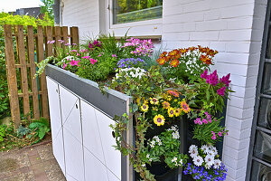 DIY box for the rubbish bins with plants on the top and down the side