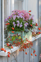 Autumnal planted window box with horned violets, saxifrage and rose hip twigs
