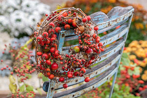 Autumn wreath of clematis branches and rose hips