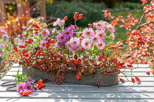 Arrangement of autumn asters and various rose hips