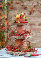 Selbstgebastelte herbstliche Etagere aus Tontöpfen, Holzscheiben, Hagebuttenzweigen und Chilischoten