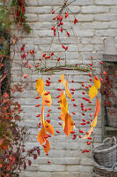 Homemade mobile made from twigs, rose hips and leaves