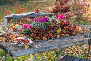 Tischdeko mit Alpenveilchen, Heide, Blättern und Hagebutten