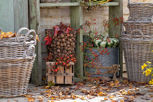 Willow basket, walnuts, and pumpkins on an autumn terrace
