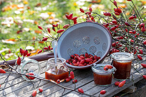 Homemade rose hip jam