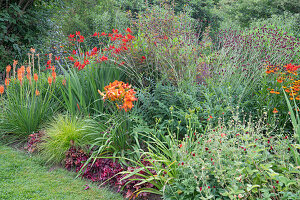 A flowering bed of perennial's in a garden