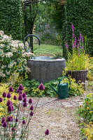 Wasserbrunnen im sommerlichen Garten mit Blutweiderich, Hydrangea 'Early Sensation', Frauenmantel und Kugellauch