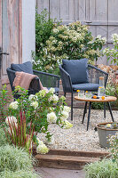 Sitzplatz mit Tisch, Stühlen und Miniteich auf sommerlicher Kies-Terrasse mit Segge 'Bicolor', Strauchhortensie 'Vanilla fraise',  japanischem Blutgras 'Red Baron'