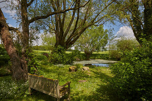 Bench by the garden pond