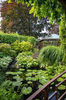Garden with pond, water lilies and pavilion in the background