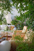 Lounge with green plants in hardy cultivation