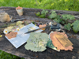 DIY seed paper made from flower seeds and egg carton