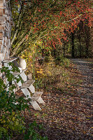 Herbstlicher Bauerngarten mit Zierapfelstrauch und rustikaler Dekoration auf Holztreppe