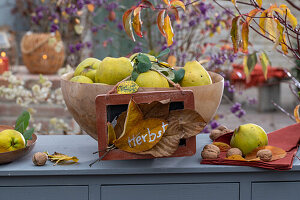 Herbstliche Dekoration aus Quitten, Nüssen und Herbstlaub auf Kommode