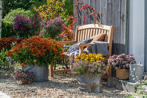 Flower pots on the terrace, old zinc bucket with sunflower (Helenium), rock-creeper (Sedum cauticola), purple stonecrop (Sedum telephium) and autumn asters