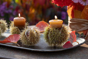 Autumn decoration, candles in bowls of chestnuts (Castanea Sativa) and autumn leaves