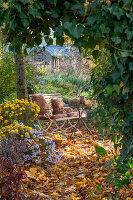 Sitzplatz im Garten mit Herbstchrysanthemen (Chrysanthemum), Hedera (Efeu) und Herbstlaub