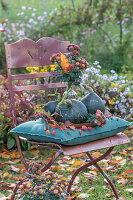 Autumn chrysanthemum bouquet (Chrysanthemum) and pumpkins decorated on garden chair