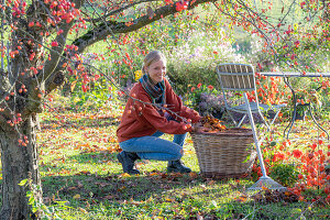 Woman gardening in autumn