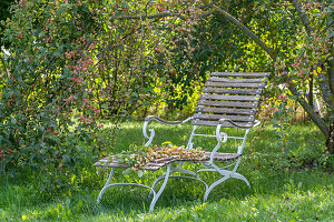 Deckchair in autumn garden under ornamental apple tree