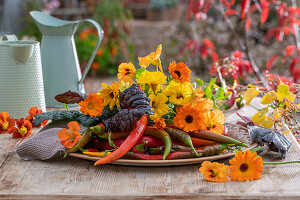 Herbstdekoration aus Chilischoten, Ringelblumen (Calendula), Kapuzinerkresse (Tropaeolum) und Mangoldblättern auf Terrassentisch