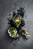Osyters with cured scallop and yuzu kosho dressing