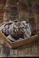 Wood pigeon bread