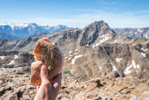 Rye sandwich in hight mountain, Gavia Valley, Valtellina, Sondrio Province, Lombardy, Italy, Europe