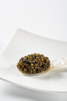Kaviar auf Perlmuttlöffel