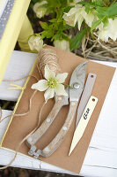Garden utensils: twine, scissors, plant labels and Helleborus flower