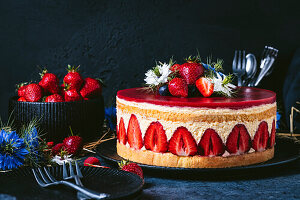 Fraisier - Französische Erdbeetorte