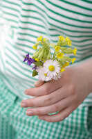 Hand holding bouquet of scented violets, primroses and daisies