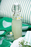 Bügelflasche mit Limonade, verziert mit Kränzchen aus Gänseblümchen