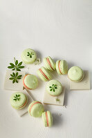 Woodruff macarons with strawberry filling