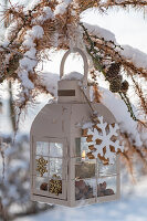 Weihnachtliches Windlicht in verschneiter Lärche hängend mit Christbaumanhänger